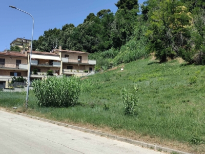 immagine annuncio 3 di 9