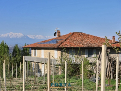 immagine annuncio 8 di 9