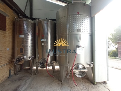 immagine annuncio 6 di 9