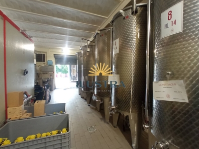 immagine annuncio 7 di 9