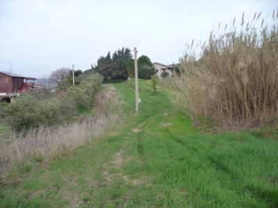 immagine annuncio 6 di 9