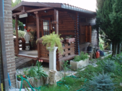 immagine annuncio 3 di 9