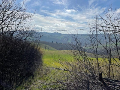 immagine annuncio 3 di 9
