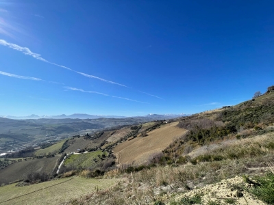 immagine annuncio 8 di 9