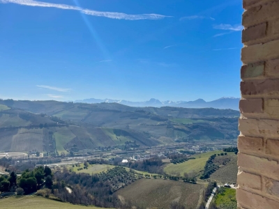 immagine annuncio 1 di 9
