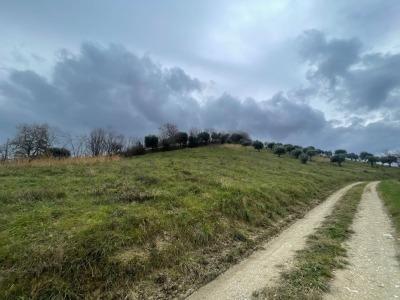 immagine annuncio 6 di 9