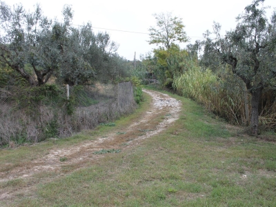 immagine annuncio 6 di 9