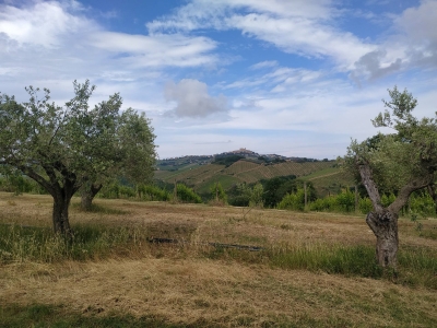 immagine annuncio 8 di 9