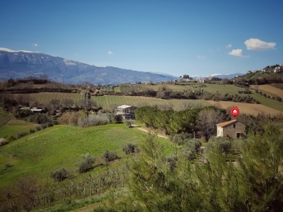 immagine annuncio 3 di 9