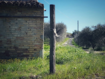 immagine annuncio 7 di 9