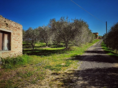 immagine annuncio 8 di 9
