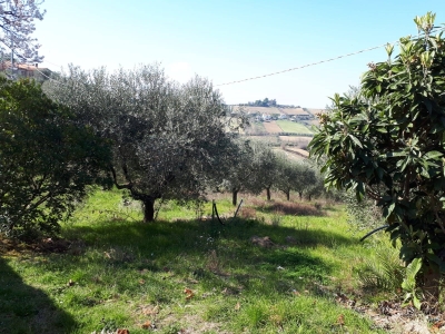 immagine annuncio 7 di 9