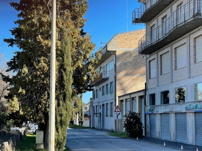 immagine annuncio 1 di 6