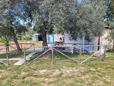 immagine annuncio 3 di 9