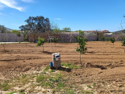 immagine annuncio 2 di 9