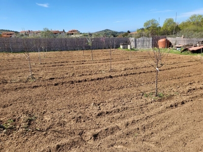 immagine annuncio 5 di 9