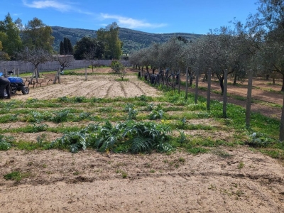 immagine annuncio 7 di 9