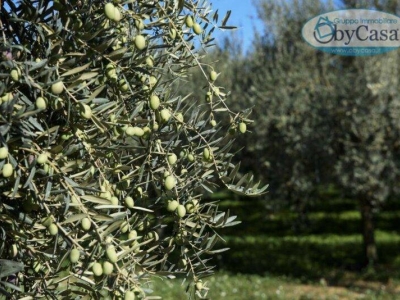 immagine annuncio 8 di 9