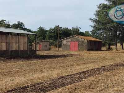 immagine annuncio 8 di 9