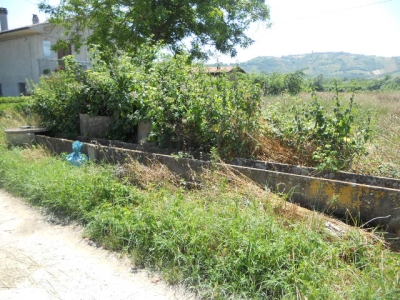 immagine annuncio 3 di 6