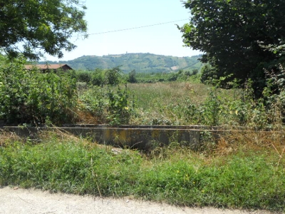 immagine annuncio 4 di 6