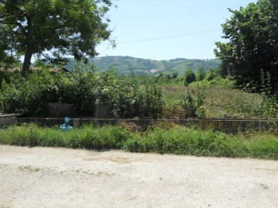 immagine annuncio 5 di 6