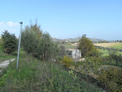 immagine annuncio 3 di 9