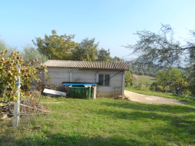 immagine annuncio 6 di 9