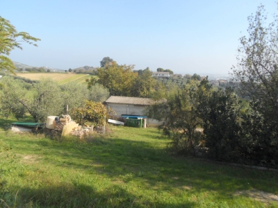 immagine annuncio 5 di 9