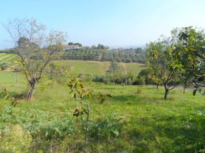 immagine annuncio 8 di 9
