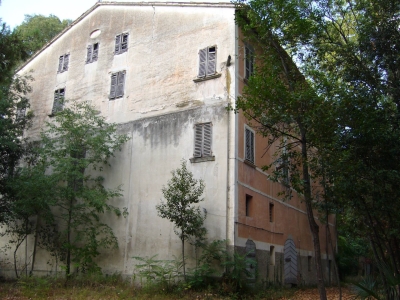 immagine annuncio 7 di 9