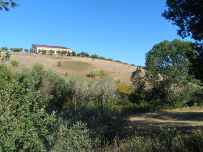 immagine annuncio 8 di 9