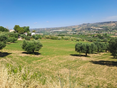 immagine annuncio 3 di 9