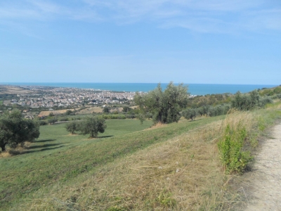 immagine annuncio 7 di 9