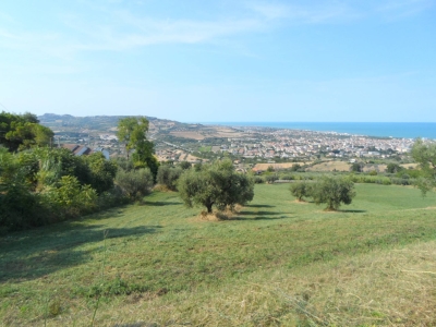 immagine annuncio 1 di 9