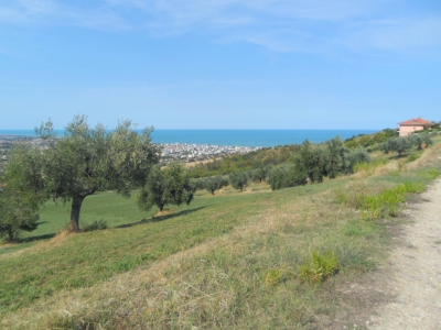immagine annuncio 8 di 9