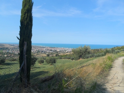 immagine annuncio 5 di 9