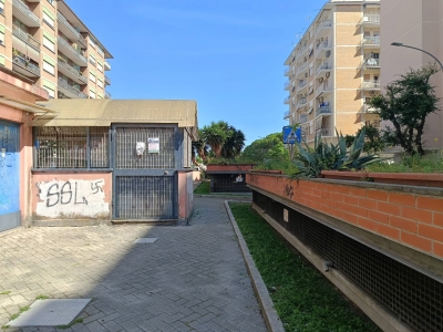 immagine annuncio 2 di 9