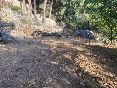 immagine annuncio 6 di 8