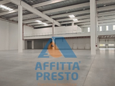 immagine annuncio 2 di 9