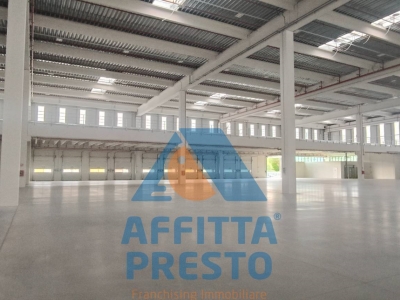 immagine annuncio 3 di 9