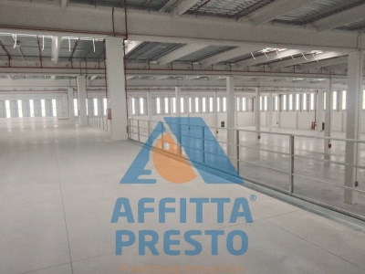 immagine annuncio 5 di 9