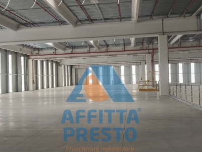 immagine annuncio 4 di 9
