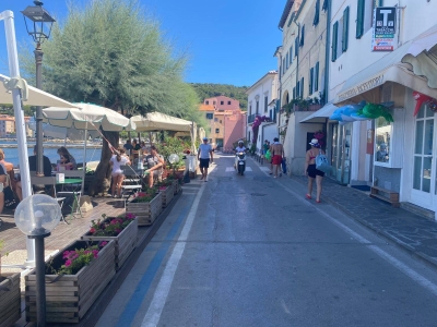 immagine annuncio 1 di 9