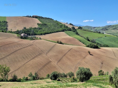 immagine annuncio 3 di 9