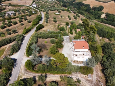 immagine annuncio 6 di 9