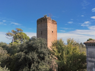 immagine annuncio 4 di 9