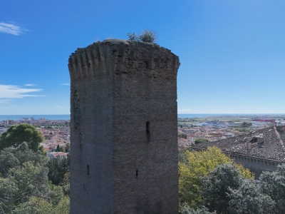 immagine annuncio 7 di 9