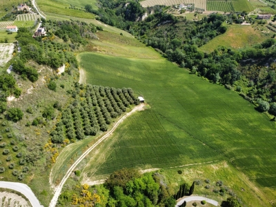 immagine annuncio 7 di 9