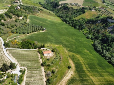 immagine annuncio 8 di 9